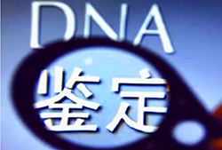 廊坊DNA亲子鉴定结果多久能出，廊坊匿名亲子鉴定需要什么手续