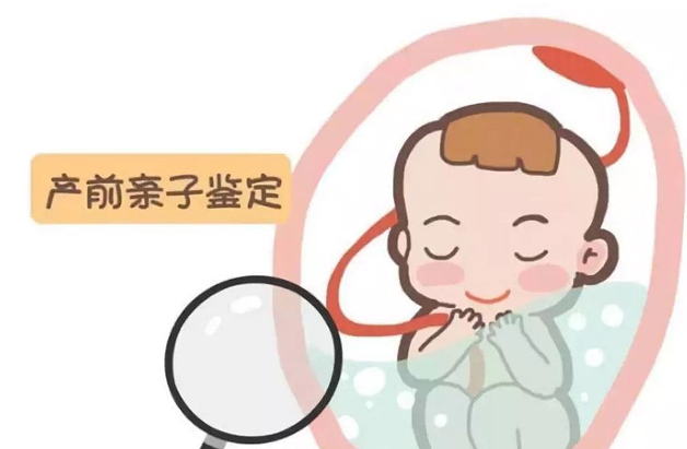 鄂尔多斯孕期亲子鉴定正规中心在什么地方,鄂尔多斯孕期亲子鉴定准确吗