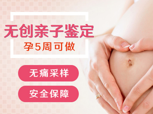 河南省怀孕了如何办理DNA亲子鉴定,河南省怀孕办理亲子鉴定详细流程